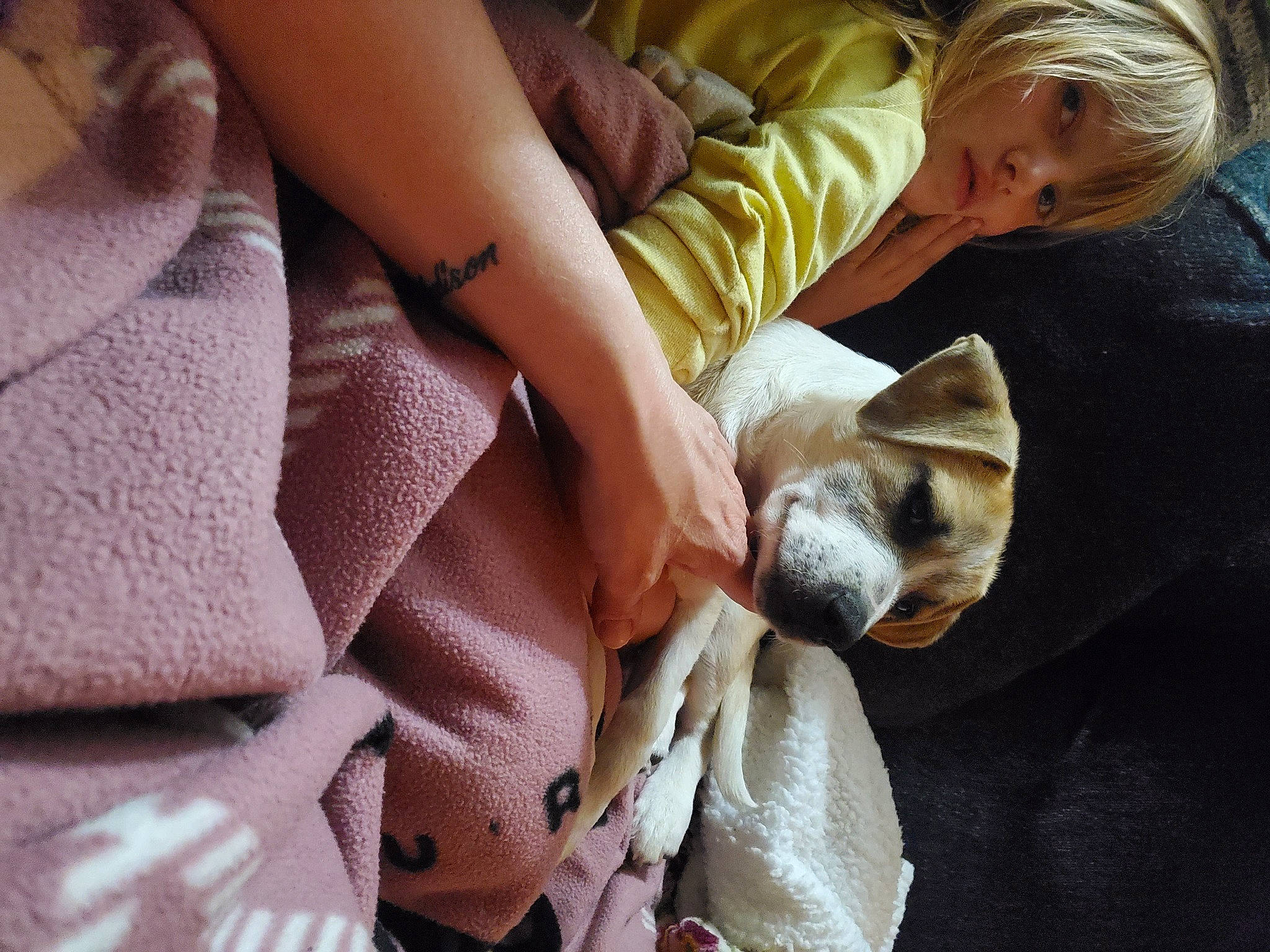 Luke joined the competition — help win amazing prizes! canidae, carnivore, child, comfort, companion_dog, couch, dog, dog_breed, felidae, fur, human_leg, lap, linens, sitting, small_to_medium_sized_cats, sporting_group, thigh, toddler, toy_dog, whiskers