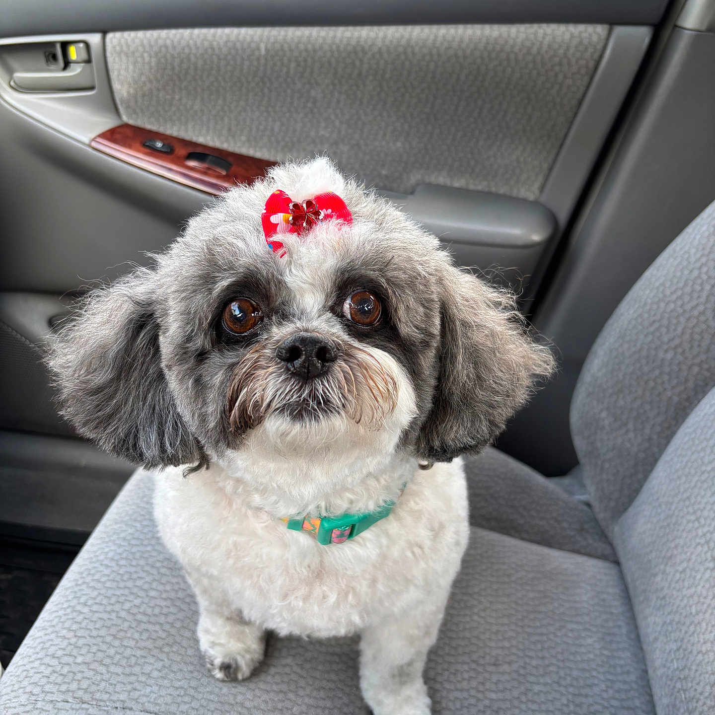 Kiki