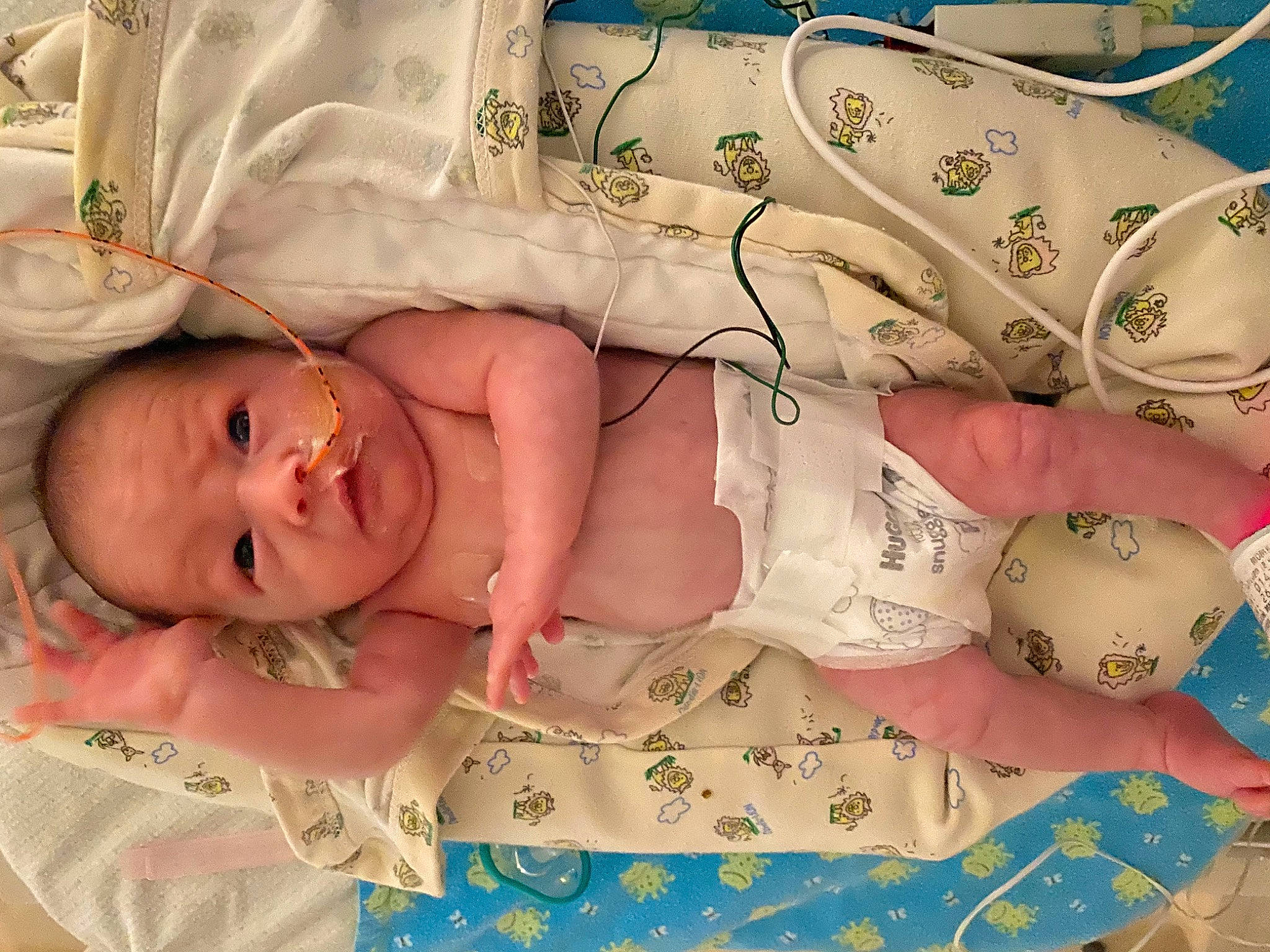 Reese joined the competition — help win amazing prizes! baby, baby_products, birth, child, person