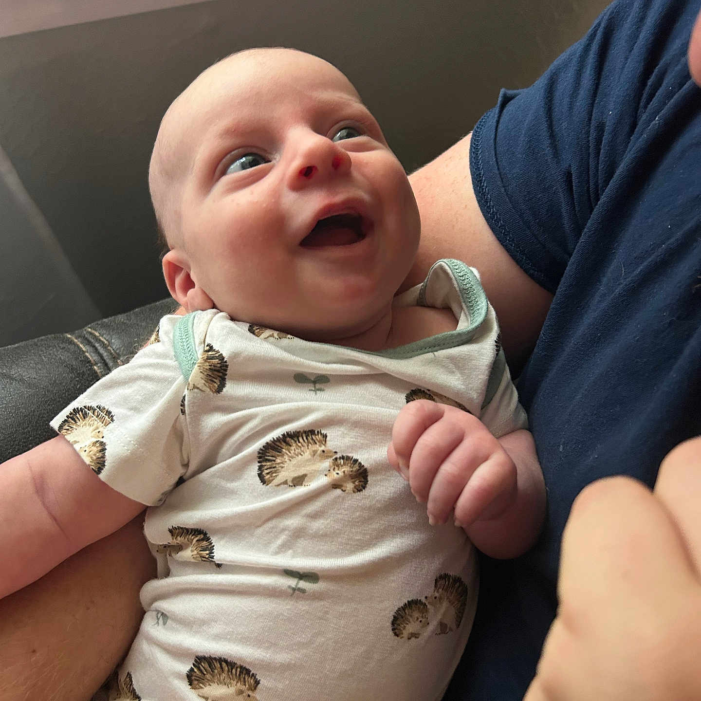 Asher is registered to the contest to win money with this photo: arms, baby, child, closeup, clothing, cute, expression, happy, hedgehog_print, holding, human_skin, indoor, infant, natural_light, onesie, person, portrait, sitting, smiling, window