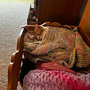Leo joined the competition — help win amazing prizes! blanket, carpet, cat, cat_nap, cozy, domestic, drawer_open, furniture, home, indoor, orange_cat, pastel_colors, pet, quiet, relaxation, resting, sleeping, soft_textile, white_cat, wooden_drawer