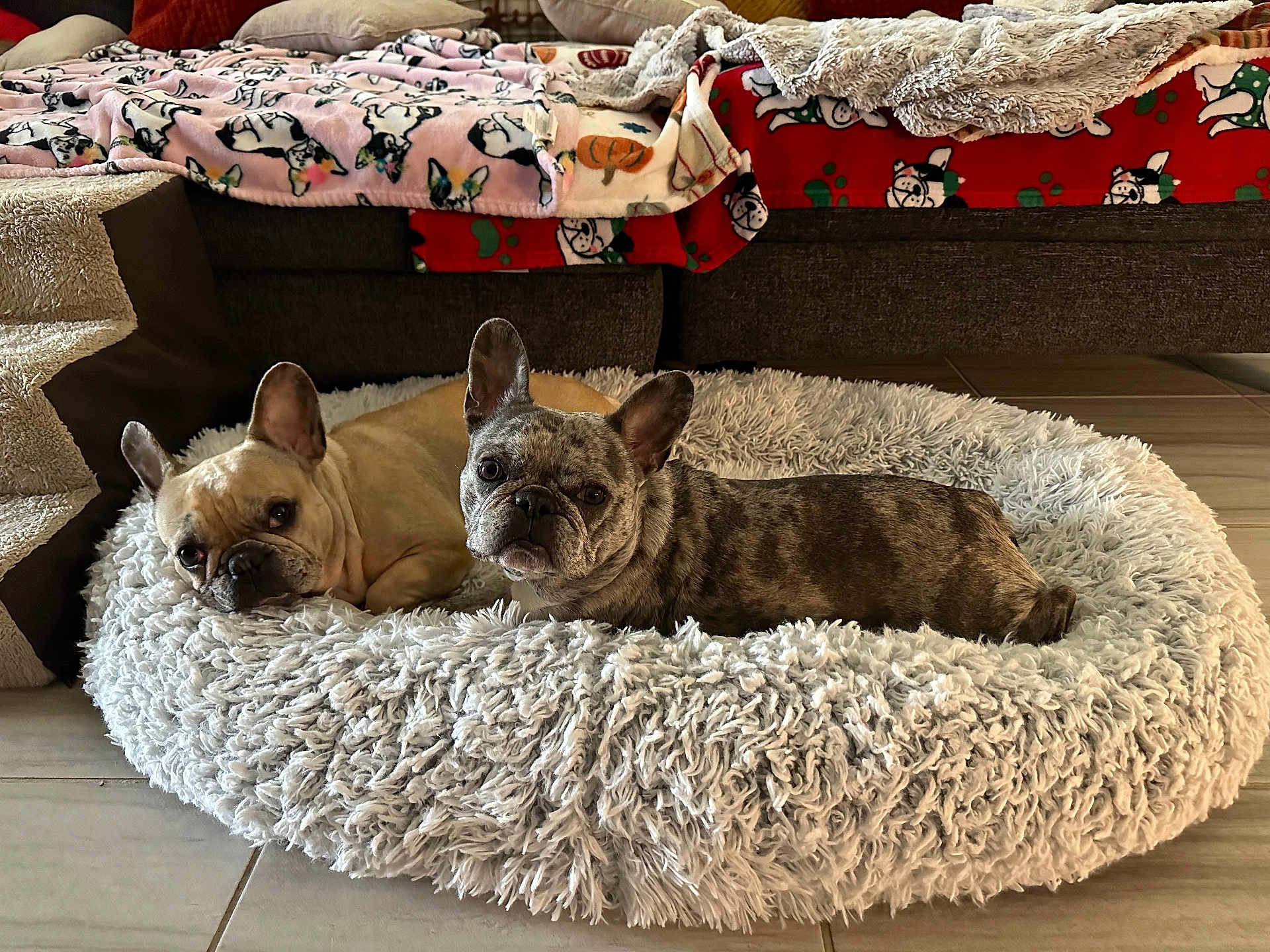 Tyson And Lednay