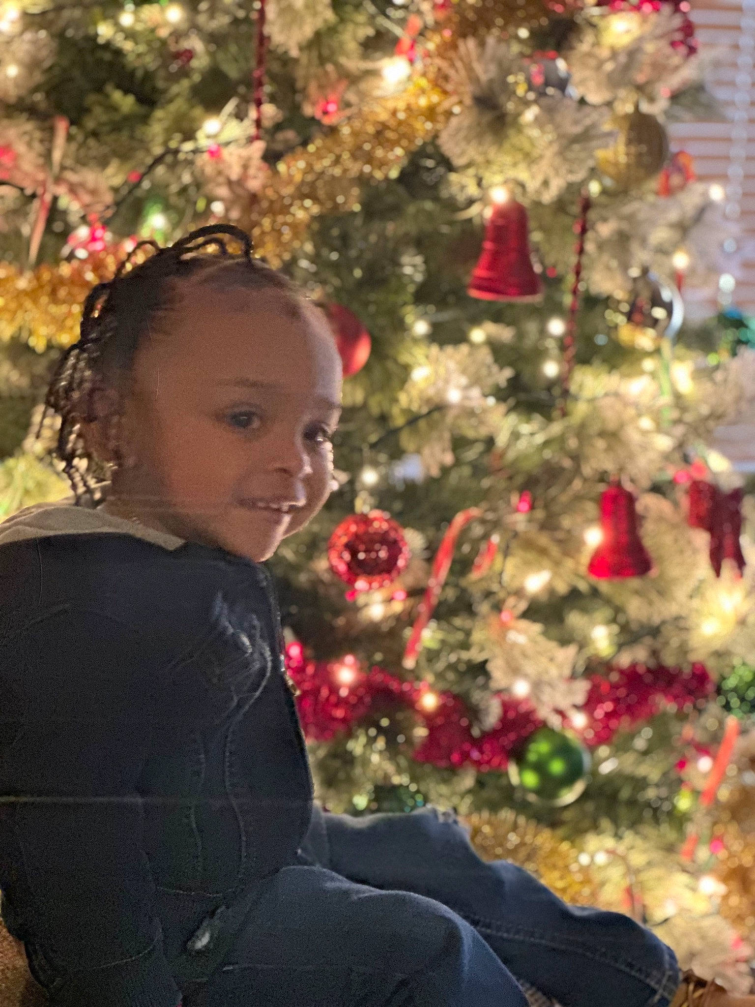 Emmitt is registered to the contest to win money with this photo: beauty, branch, christmas, christmas_decoration, christmas_ornament, christmas_tree, conifer, event, evergreen, happy, holiday, holiday_ornament, leaf, ornament, people_in_nature, person, red, standing, tradition, winter