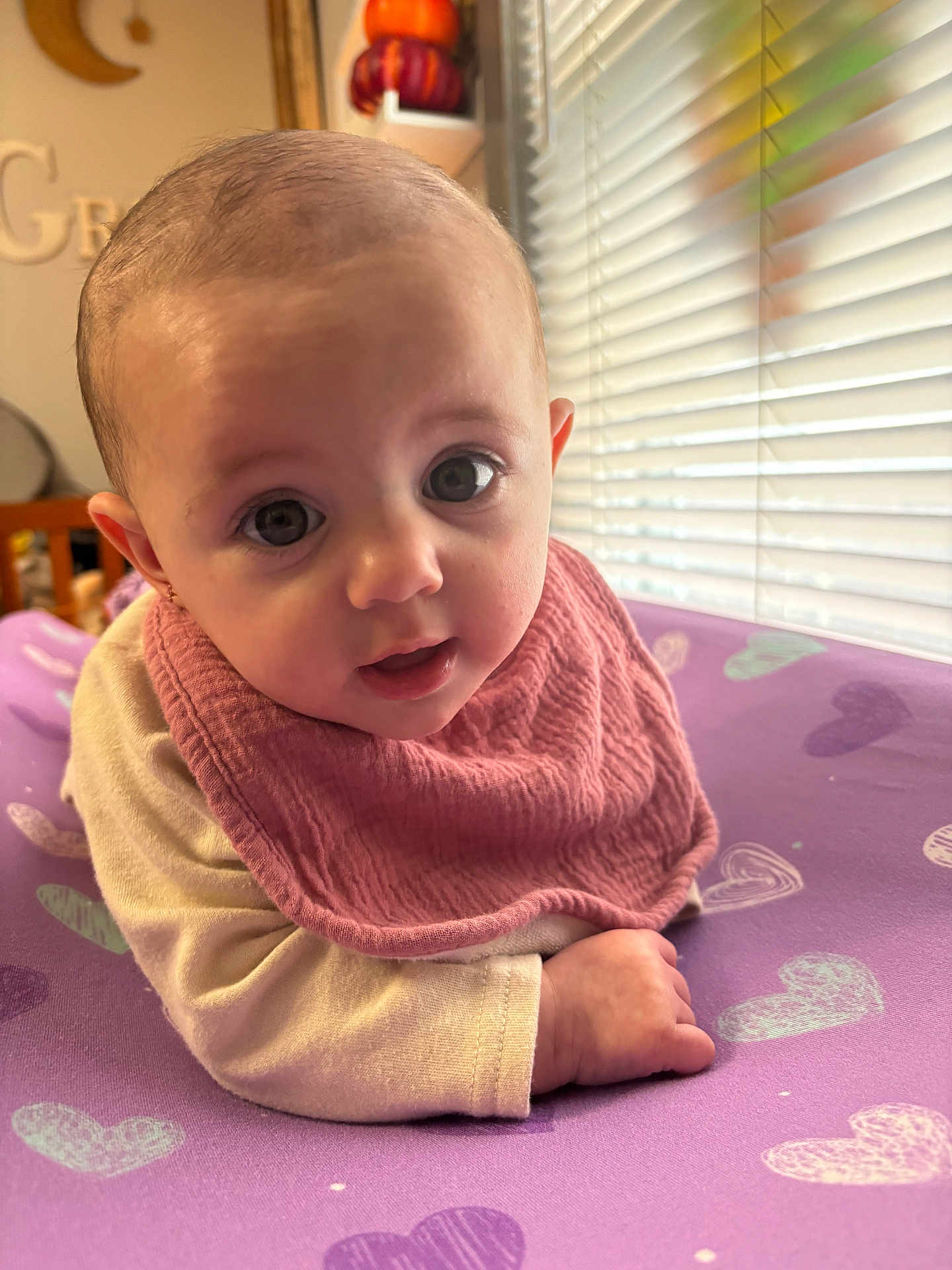 Grey joined the competition — help win amazing prizes! baby, infant, pink_bib, purple_blanket, heart_pattern, indoor, window_blinds, natural_light, curious_expression, close_up, face, child, young_child, soft_lighting, fall_decor, wooden_furniture, warm_colors, cozy, portrait, crawling_position