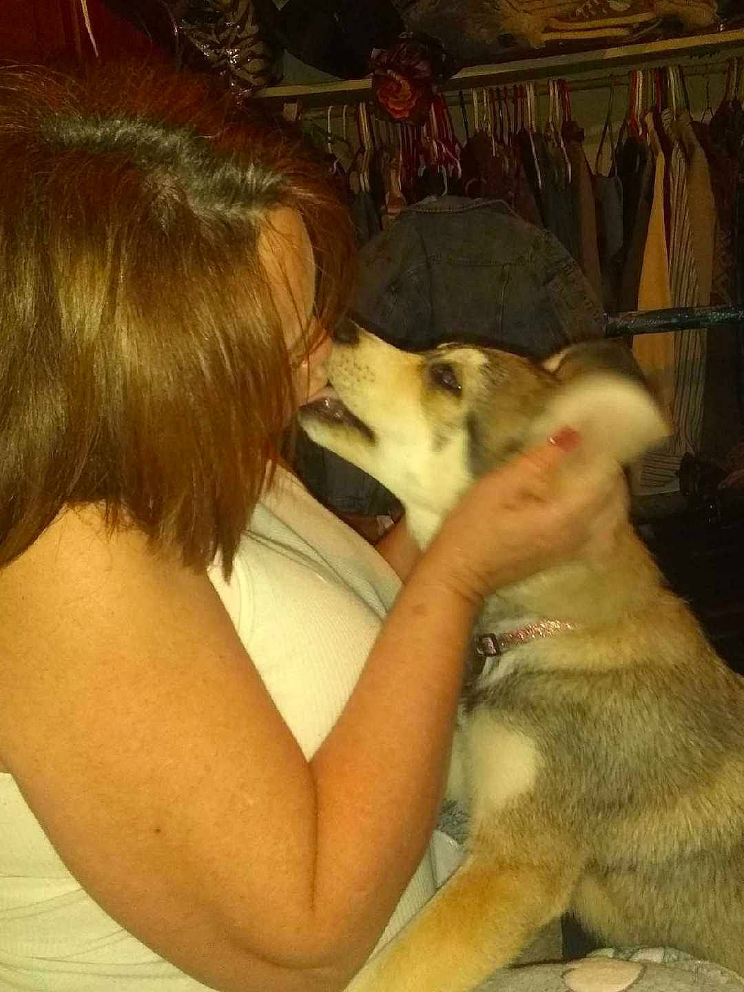 Blü is registered to the contest to win money with this photo: canidae, carnivore, comfort, companion_dog, dog, dog_breed, ear, fawn, felidae, fur, kiss, puppy, puppy_love, sled_dog, small_to_medium_sized_cats, snout, sporting_group, street_dog, wildlife, working_animal