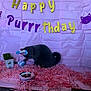 cat, gray_cat, party_hat, birthday_banner, pink_backdrop, gold_letters, purple_letters, shredded_paper, pink_confetti, toy, cat_grass, plant_pot, birthday_cake, candle, indoor, celebration, decorations, floor, paper_backdrop, pet_party