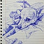 drawing, pen_drawing, blue_ink, notebook, lined_paper, spiral_binding, dog, chihuahua, pet, portrait, fur, eyes, nose, ear, sketch, art, illustration, handmade, shading, stationery
