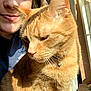bell, cat, close_up, collar, companion, cozy, feline, fur, human_face, indoor, orange_tabby, person, pet, portrait, shadow, smile, sunlight, warm_light, whiskers, window