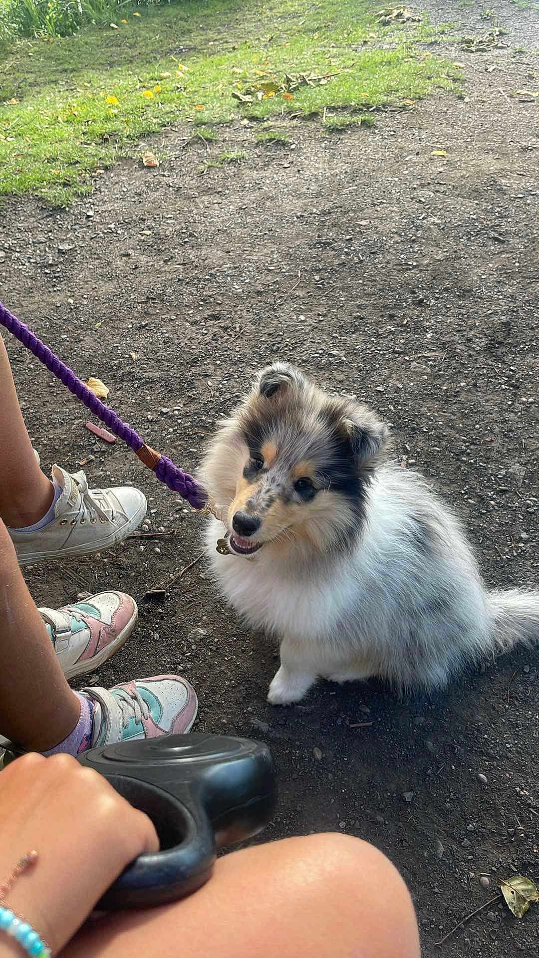 Athena