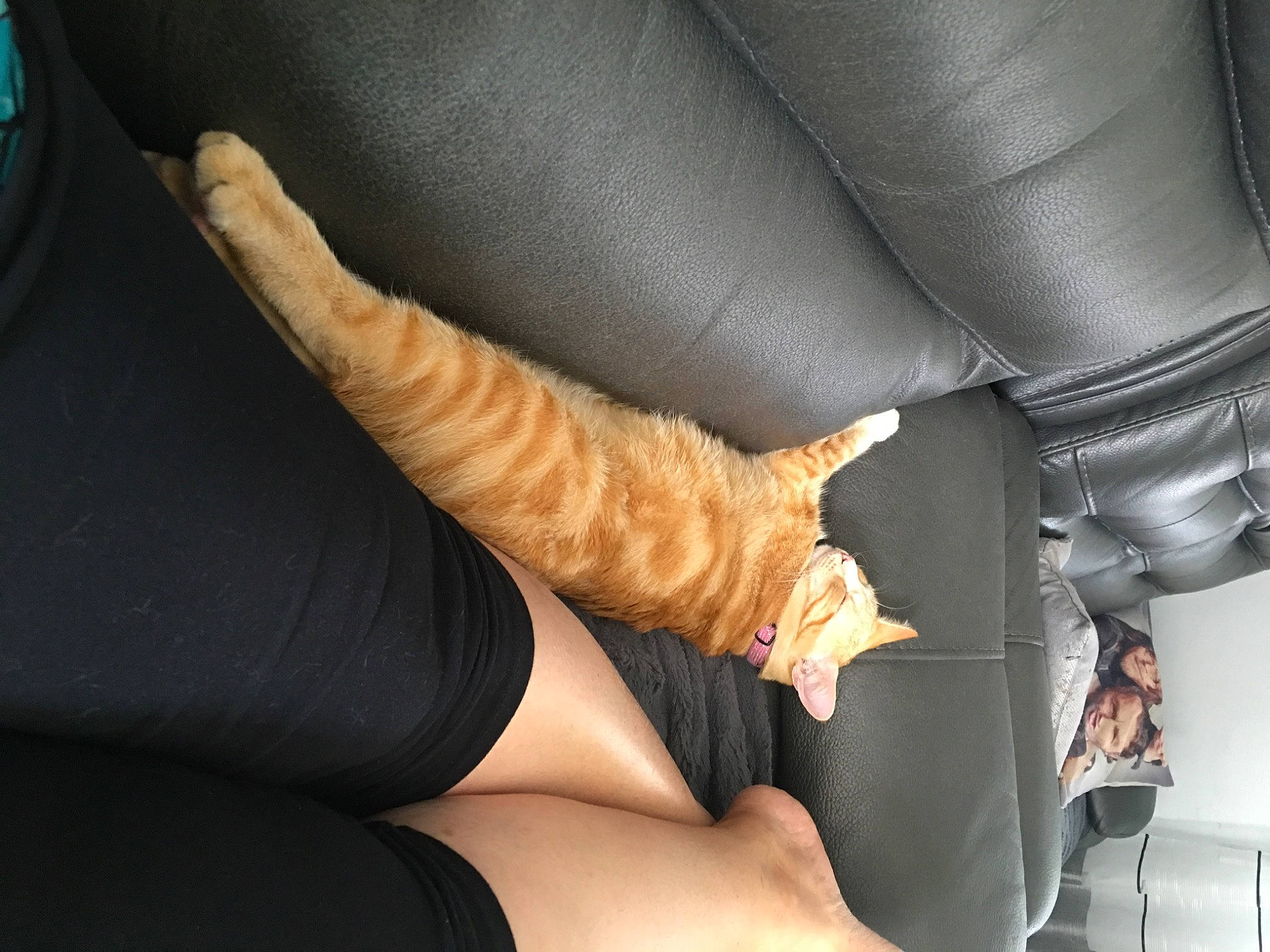 Olympia a rejoint le concours — aidez-le/la à gagner de superbes lots ! arm, comfort, finger, foot, hand, human_body, human_leg, knee, leg, nail, sole, thigh