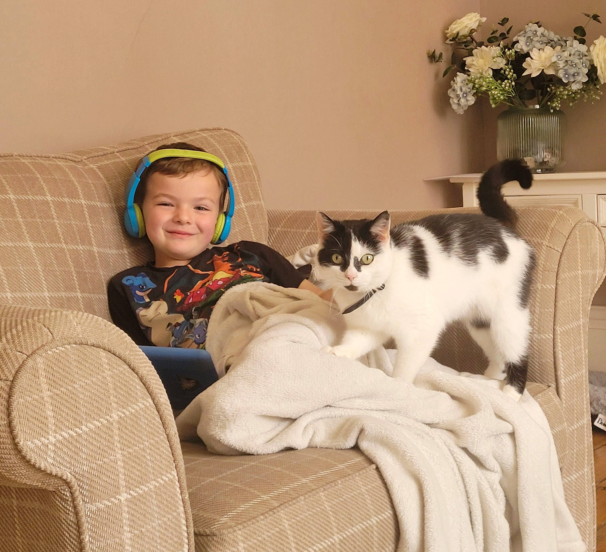 Holly Golightly joined the competition — help win amazing prizes! carnivore, cat, comfort, companion_dog, couch, domestic_short_haired_cat, felidae, fur, houseplant, interior_design, lap, linens, mammal, plant, room, sitting, small_to_medium_sized_cats, textile, vertebrate, whiskers