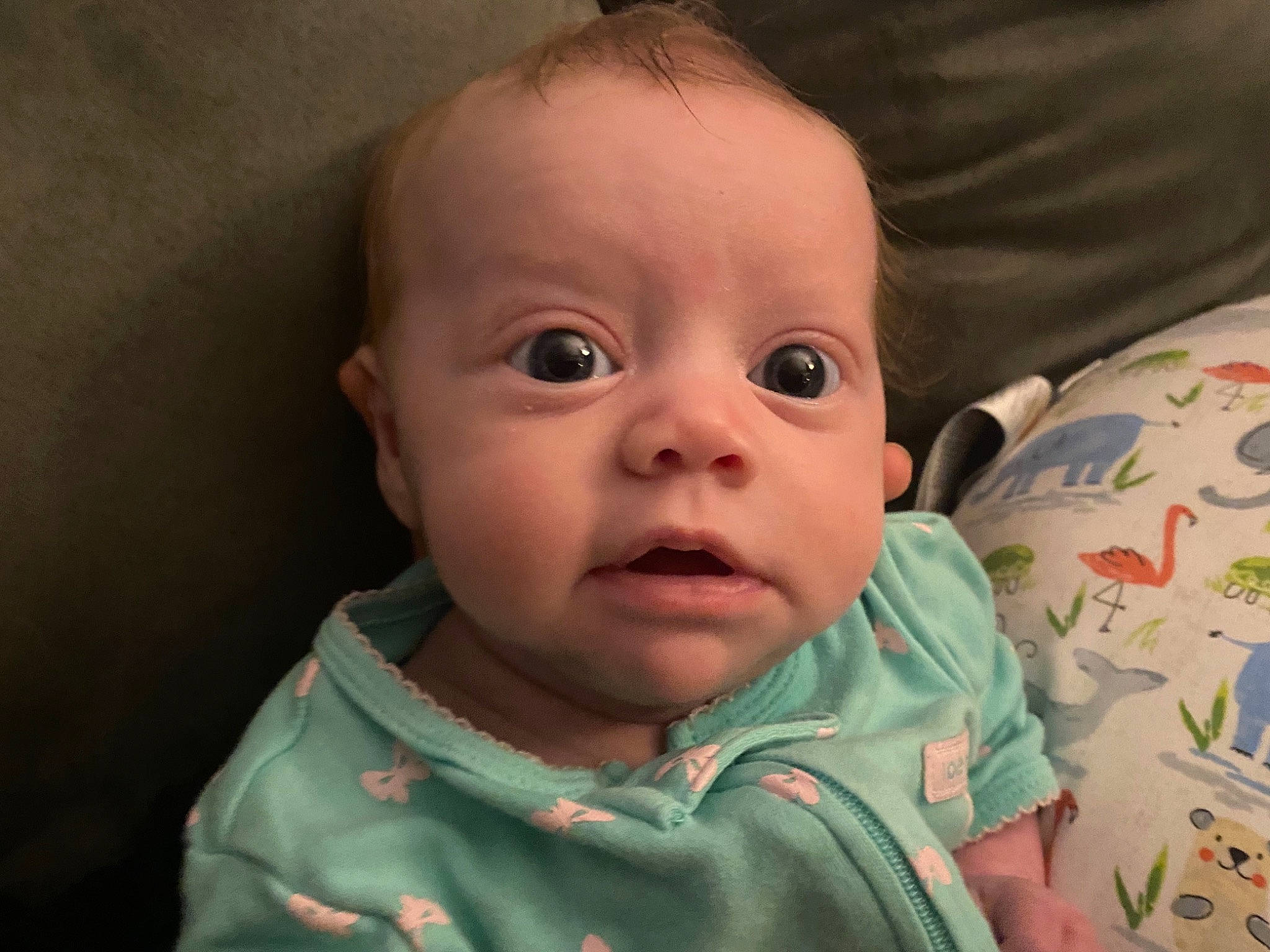 Kaia is registered to the contest to win money with this photo: baby, baby_toddler_clothing, cheek, child, comfort, ear, eye, eyebrow, eyelash, forehead, gesture, happy, iris, lip, mouth, nose, person, skin, sleeve, smile