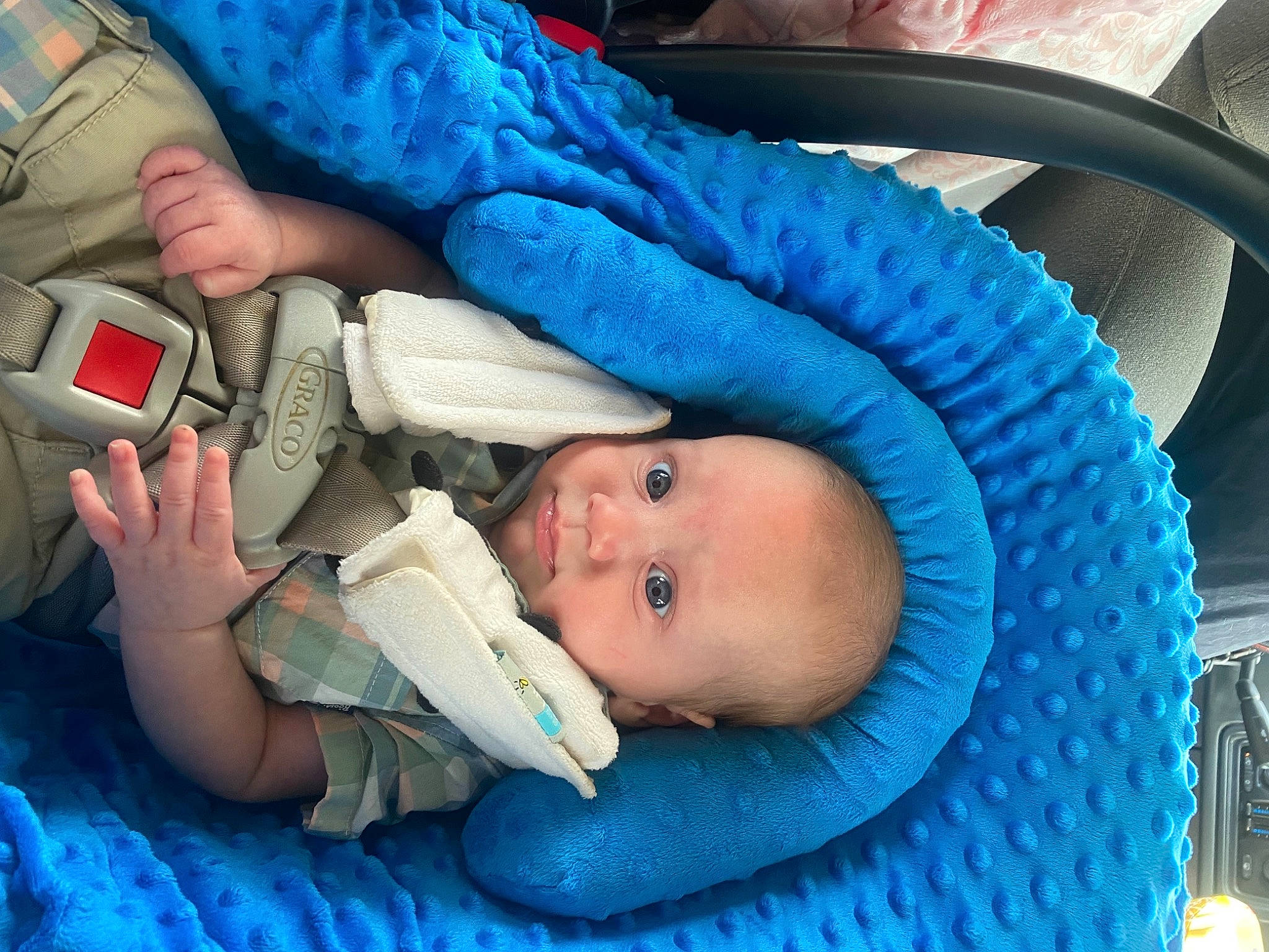 Kaiden joined the competition — help win amazing prizes! baby, baby_products, baby_safety, baby_toddler_clothing, blue, child, comfort, electric_blue, gesture, hand, hat, head, nail, person, photography, skin, snapshot, thumb, toddler, tree