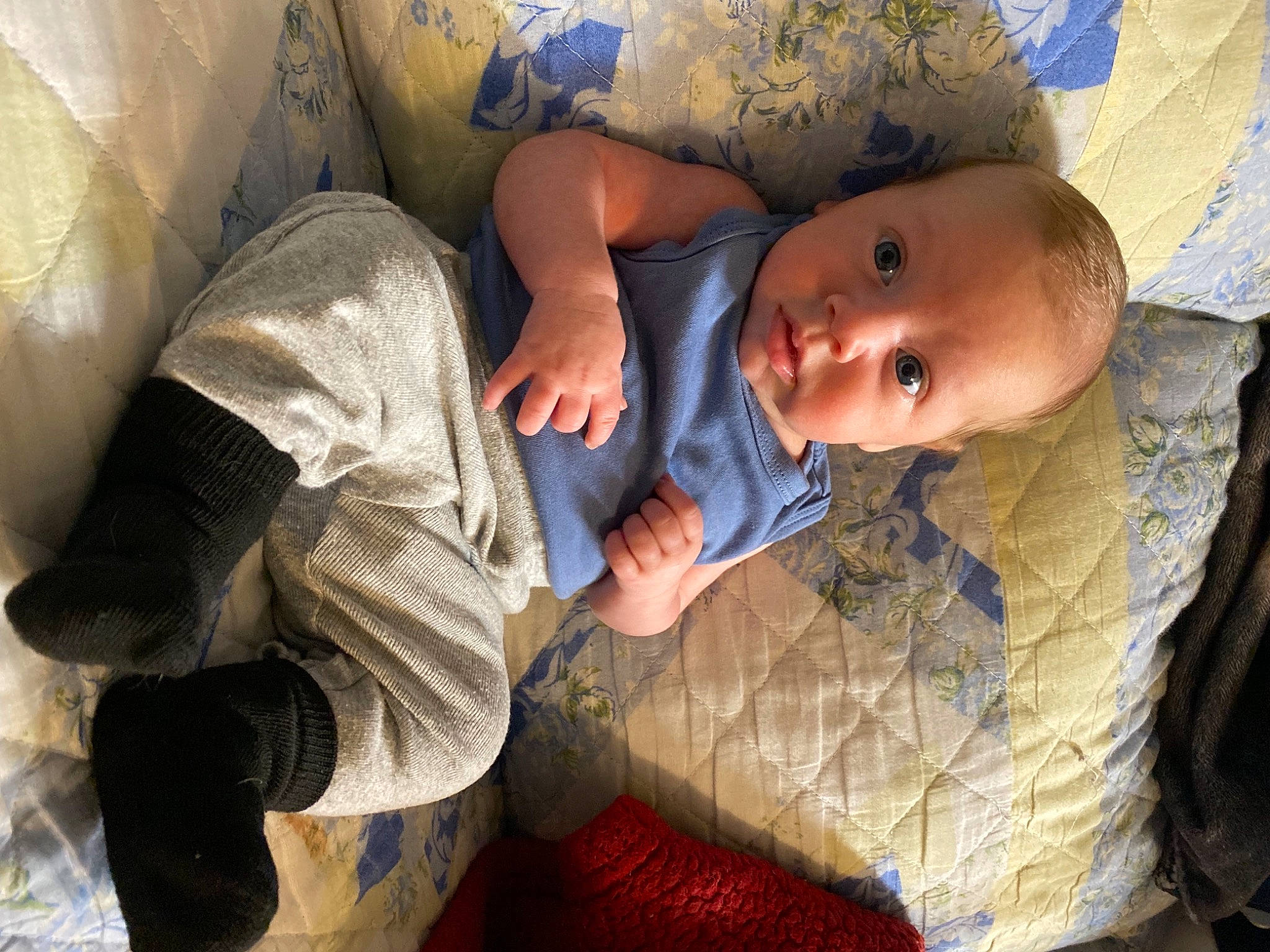 Kaiden is registered to the contest to win money with this photo: baby, baby_toddler_clothing, bedtime, blue, cheek, child, comfort, finger, hand, happy, human_body, linens, mammal, mouth, nose, person, skin, textile, toddler, tree