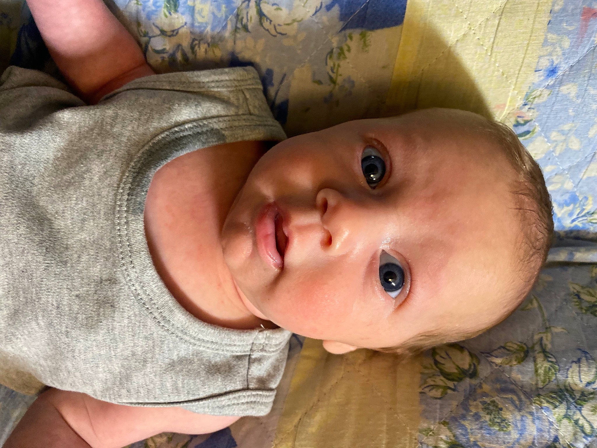 Kaiden is registered to the contest to win money with this photo: baby, blue, cheek, chin, eye, eyebrow, eyelash, face, finger, forehead, hairstyle, head, human_body, iris, lip, mouth, nose, person, plant, skin