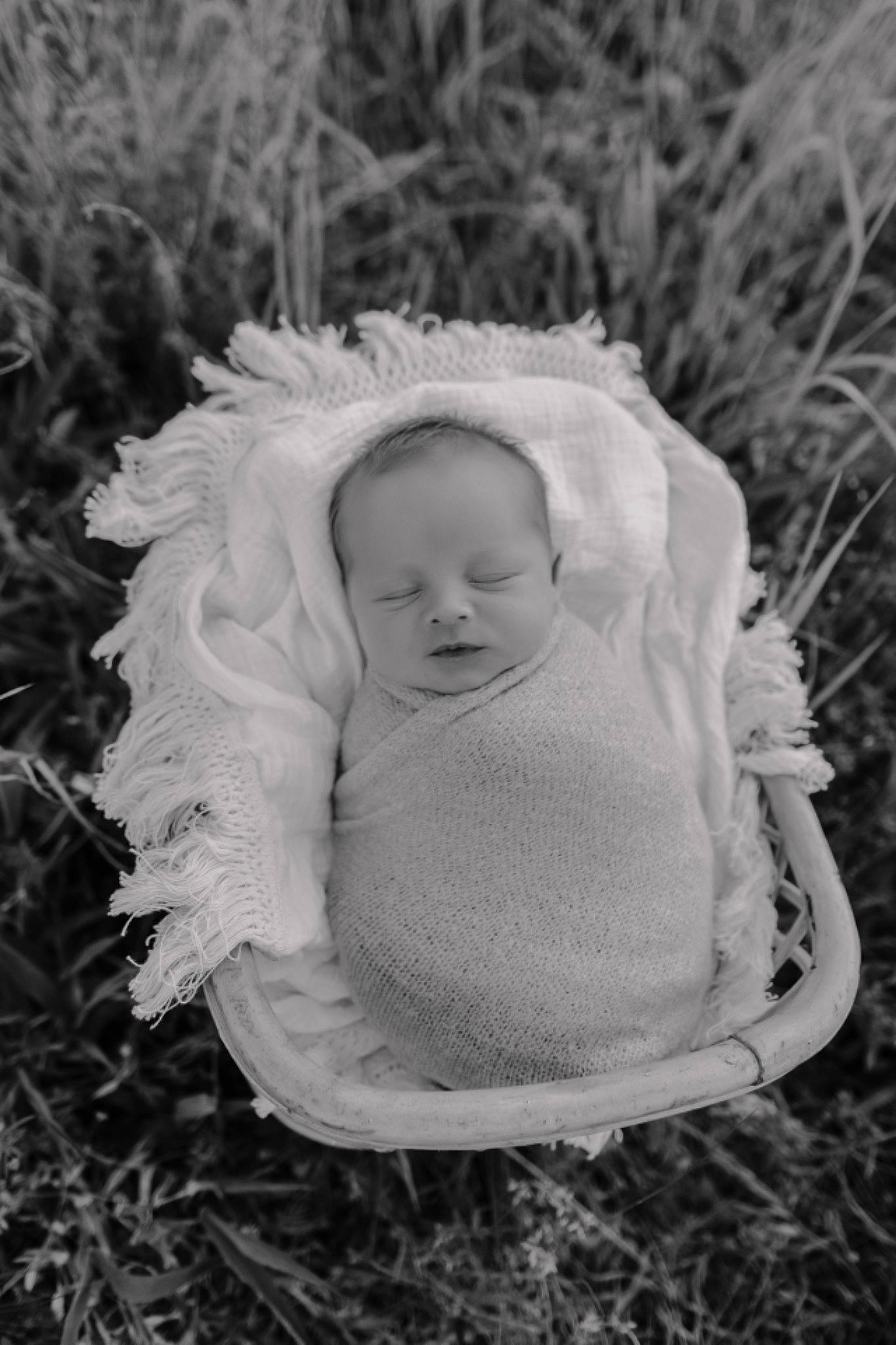 Maddex joined the competition — help win amazing prizes! baby, baby_toddler_clothing, doll, eye, face, fashion_accessory, fur, grass, grass_family, happy, human_body, iris, monochrome, monochrome_photography, people_in_nature, person, plant, sitting, toddler, toy