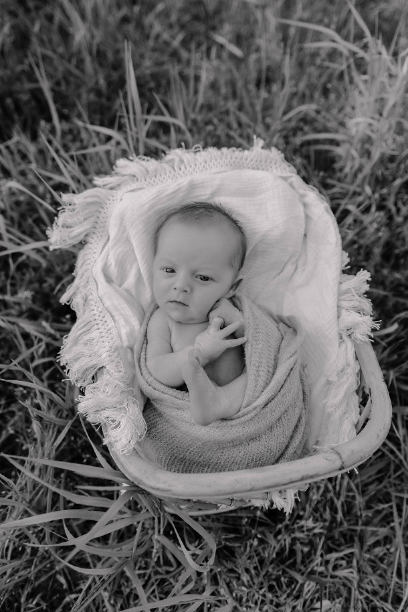 Maddex joined the competition — help win amazing prizes! baby, baby_products, child, flash_photography, fun, fur, grass, happy, headgear, monochrome, monochrome_photography, people_in_nature, person, plant, portrait, portrait_photography, sitting, still_life_photography, toddler, vertebrate