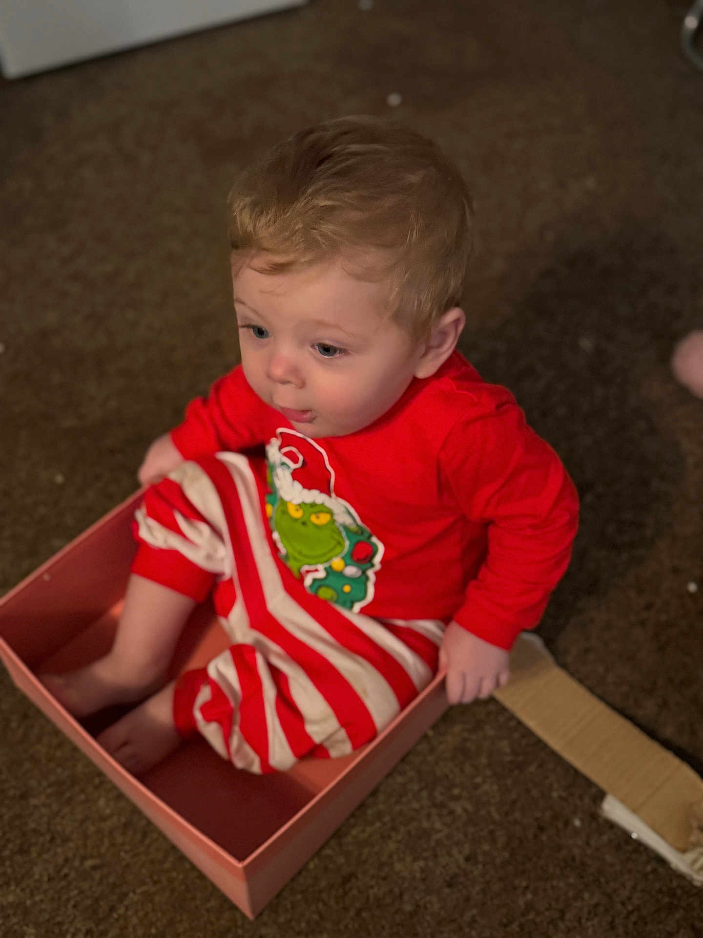 Freddie is registered to the contest to win money with this photo: toddler, child, baby, box, carpet, indoor, red_clothing, striped_pants, grinch, curly_hair, sitting, cute, small_box, floor, young_child, expression, playful, home, festive, person