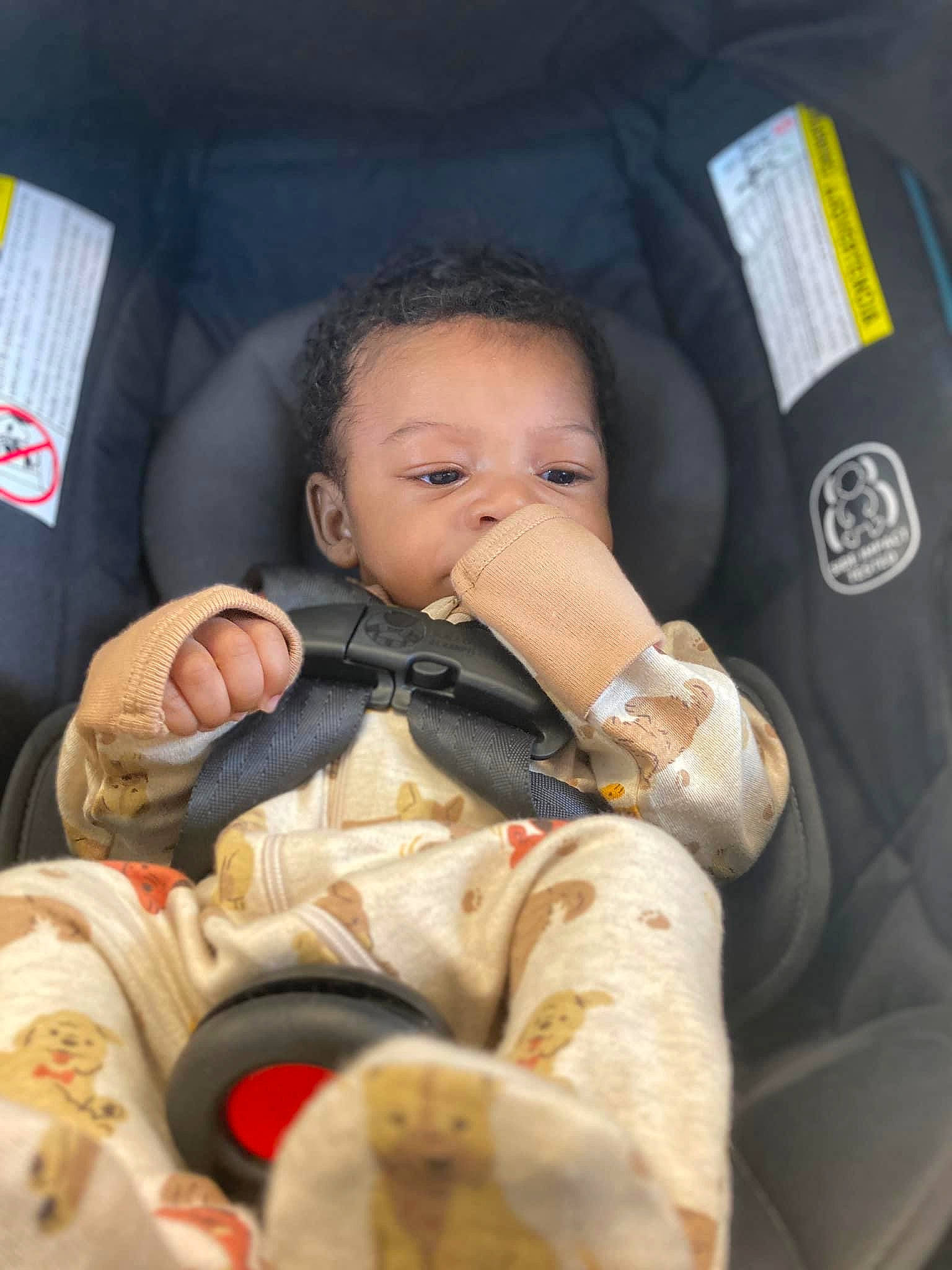Aries joined the competition — help win amazing prizes! auto_part, baby, baby_carriage, baby_in_car_seat, baby_products, baby_toddler_clothing, car_seat, carmine, cheek, child, comfort, face, finger, gesture, head, nail, person, seat_belt, sitting, skin