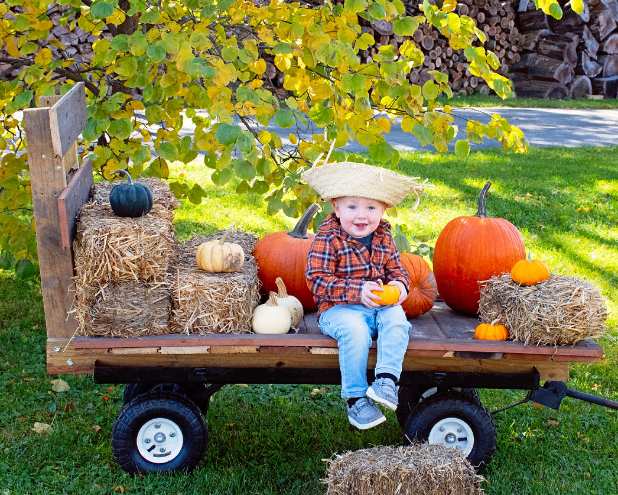 Eliott joined the competition — help win amazing prizes! calabaza, fruit, gourd, grass, hat, headwear, joy, local_food, natural_foods, people_in_nature, person, plant, pumpkin, rolling, smile, squash, tire, vegetable, vehicle, wheel