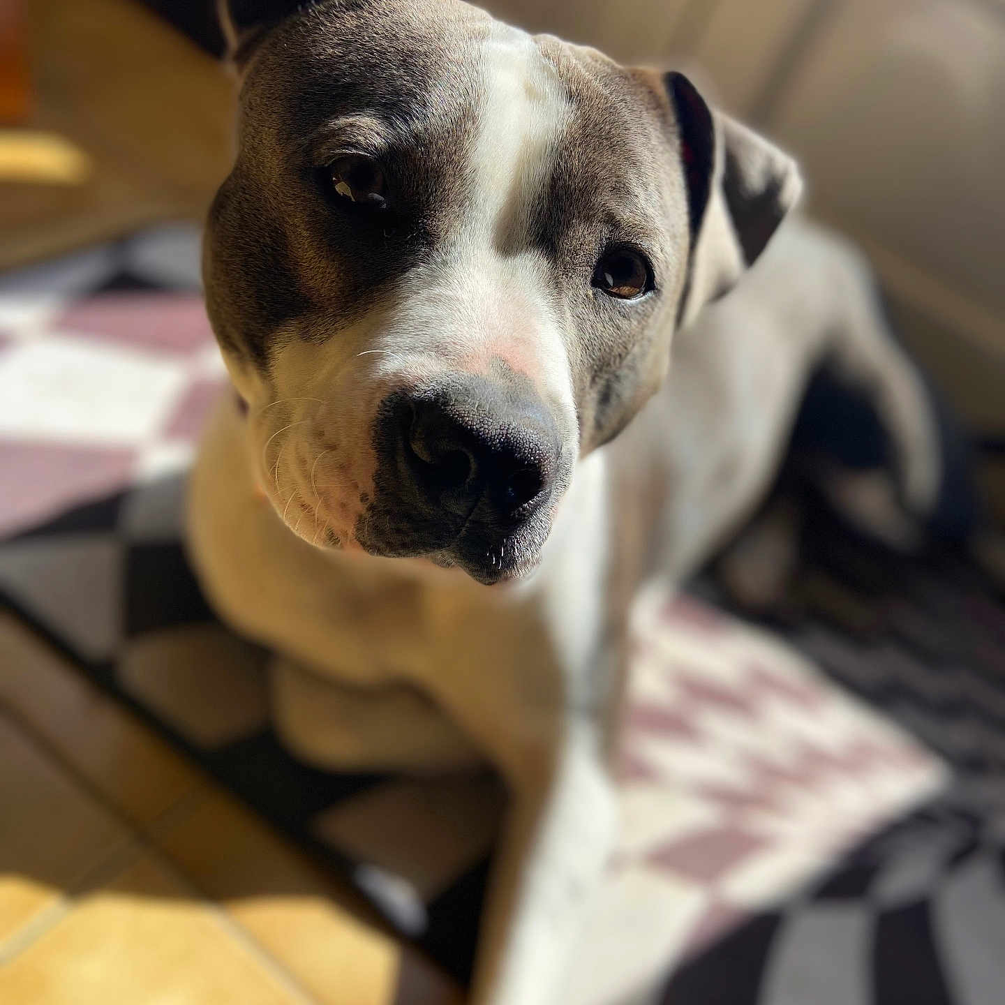 Kira