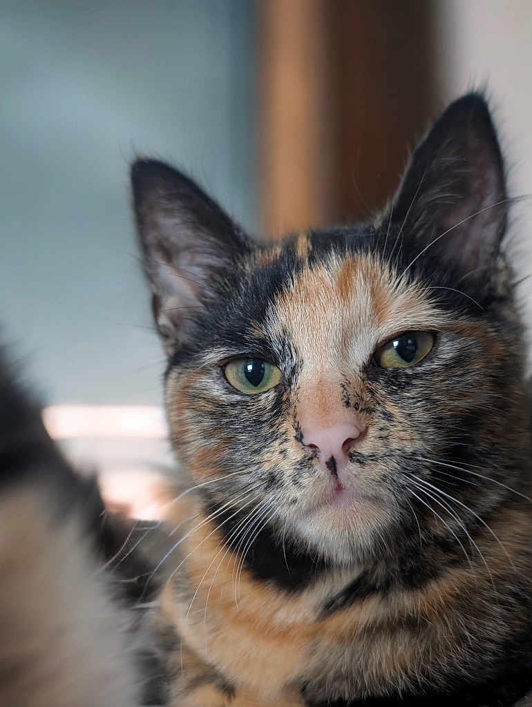 Tina