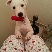 Hindy participe au concours pour gagner de l'argent avec cette photo :