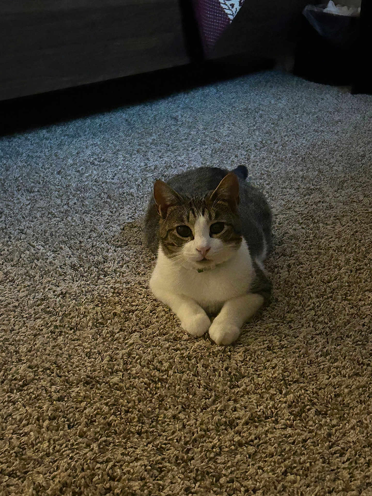 Tommy Twinkle Toes