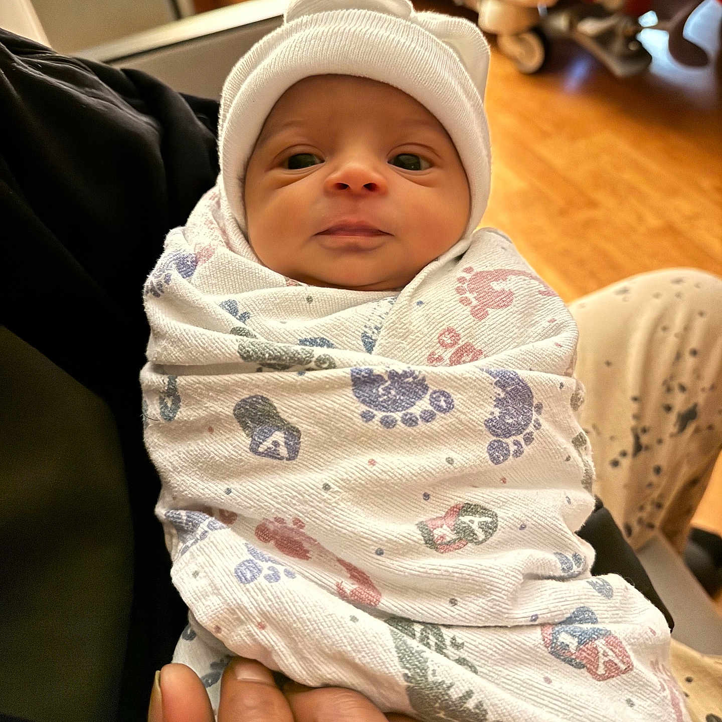 Avalynn