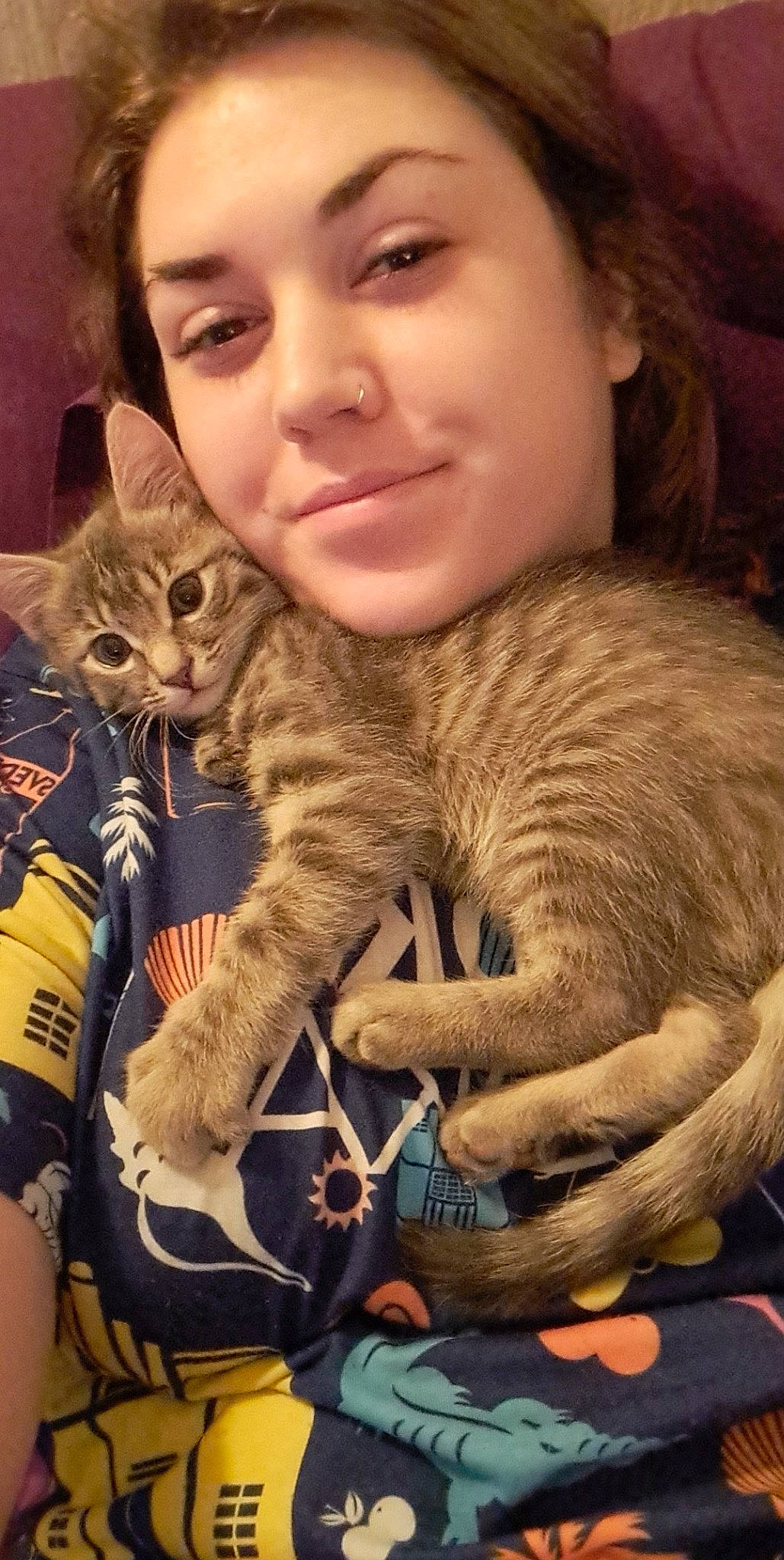 Grayson joined the competition — help win amazing prizes! brown_hair, carnivore, cat, domestic_short_haired_cat, ear, eye, fawn, felidae, fur, gesture, happy, lap, organ, sitting, skin, small_to_medium_sized_cats, smile, snout, textile, whiskers