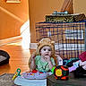 baby, child, walker, toy, fuzzy_hat, living_room, floor, carpet, table, cage, plastic_toy, baby_walker, wood_floor, orange_wall, window_light, indoor, person, cute, infant, furniture