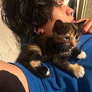 Miffy is registered to the contest to win money with this photo: blue_shirt, bracelet, cat, close_up, comfort, couch, curious, earrings, fur, hair, indoor, kitten, person, portrait, relaxation, resting, shoulder, skin, whiskers, young_cat