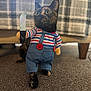 animal, background_blur, button, carpet, carpeted_floor, cat, costume, cute, dressup, feline, funny, home, indoor, overalls, pet, playful, posing, striped_shirt, tortoiseshell, toy_knife