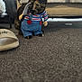 cat, pet, costume, toy, carpet, couch, slipper, striped_shirt, blue_overall, indoor, furniture, animal, cute, playful, small, floor, domestic, mammal, funny, home