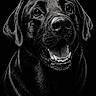 animal, artistic, black_and_white, black_background, canine, closeup, detailed, dog, ears, fur, happy, mouth_open, name_text, nose, pet, portrait, sketch, smiling, teeth, tongue