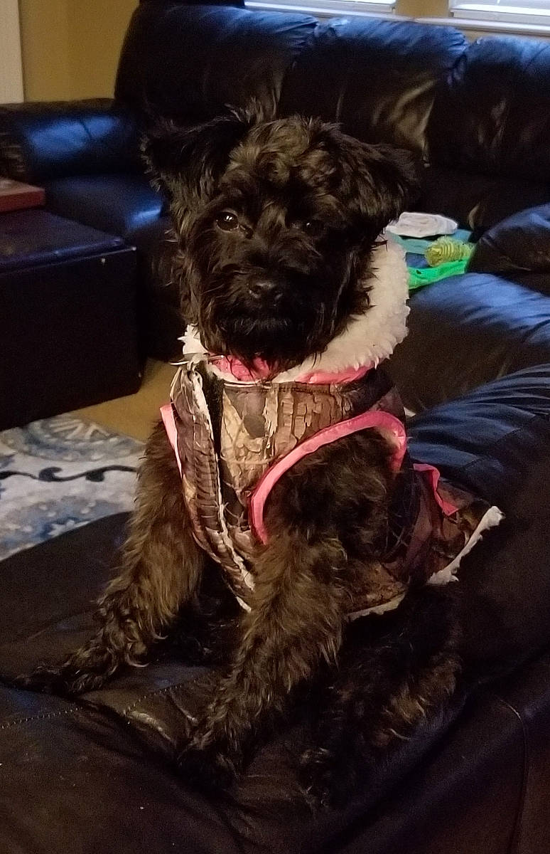 Abby