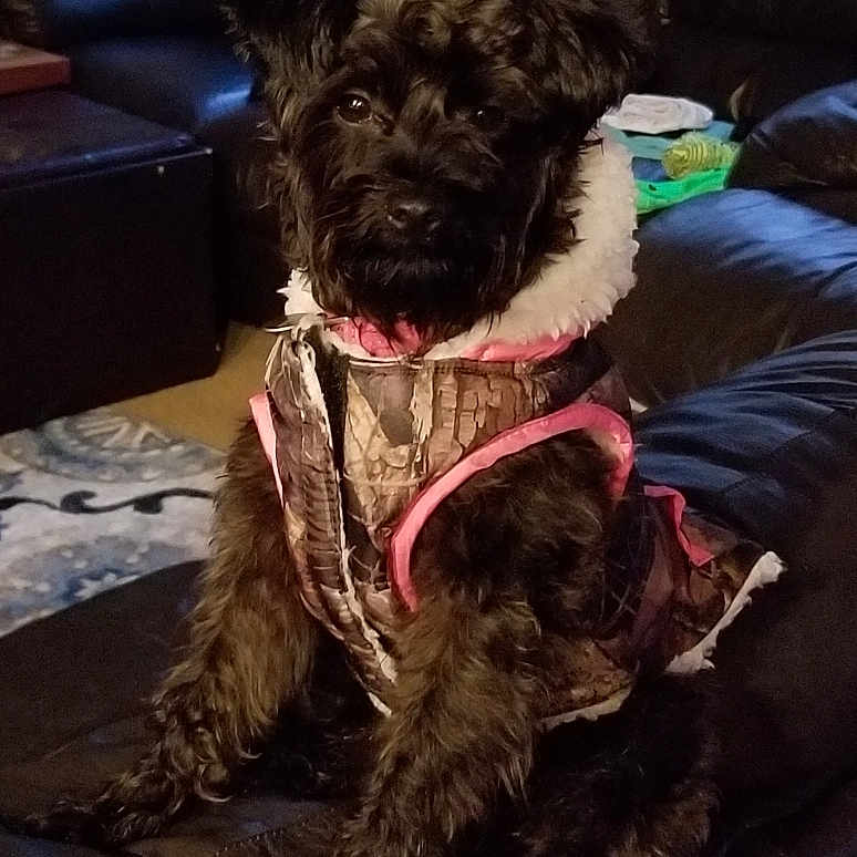 Abby