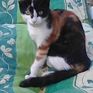 Yzia a rejoint le concours — aidez-le/la à gagner de superbes lots !