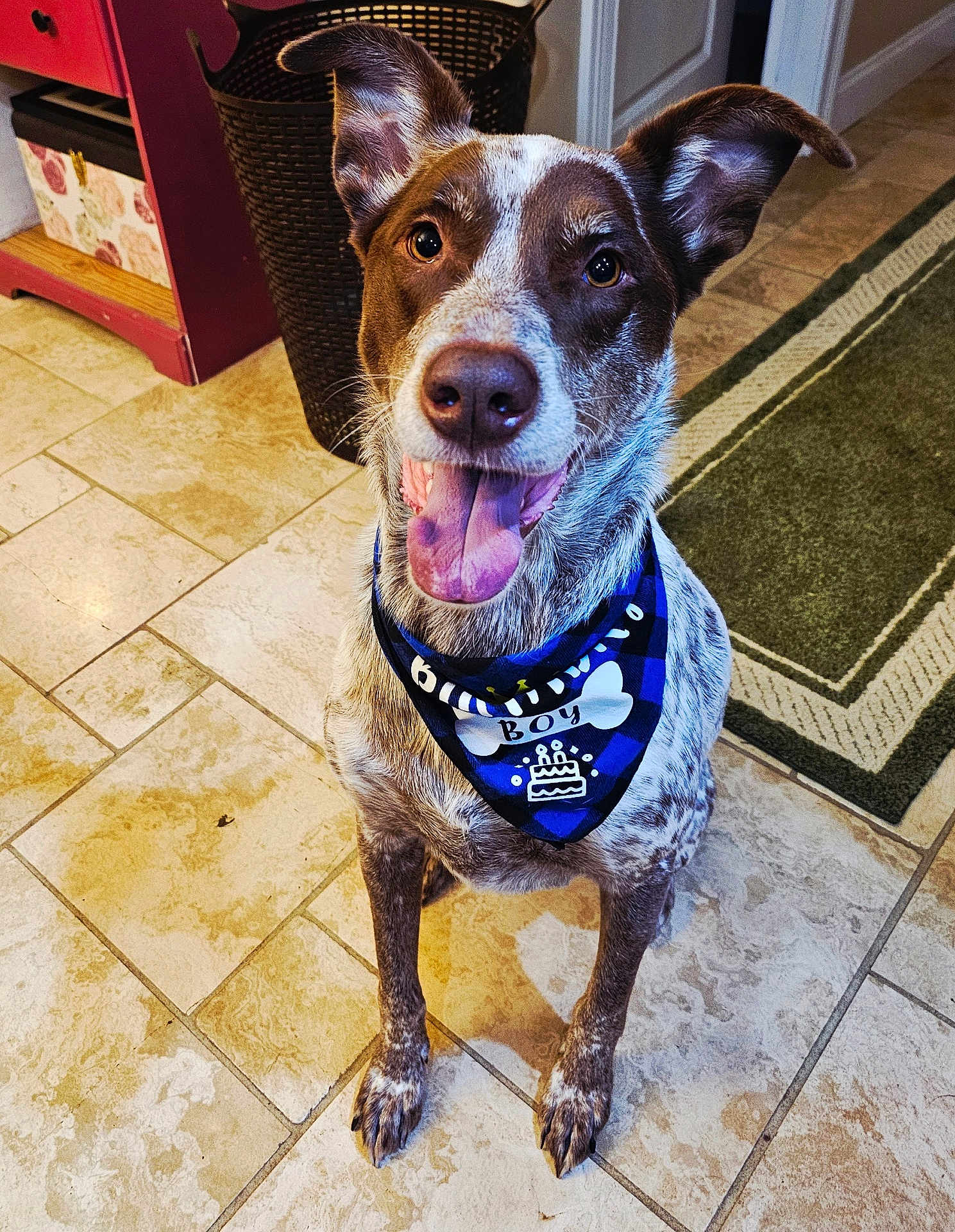 Bandit
