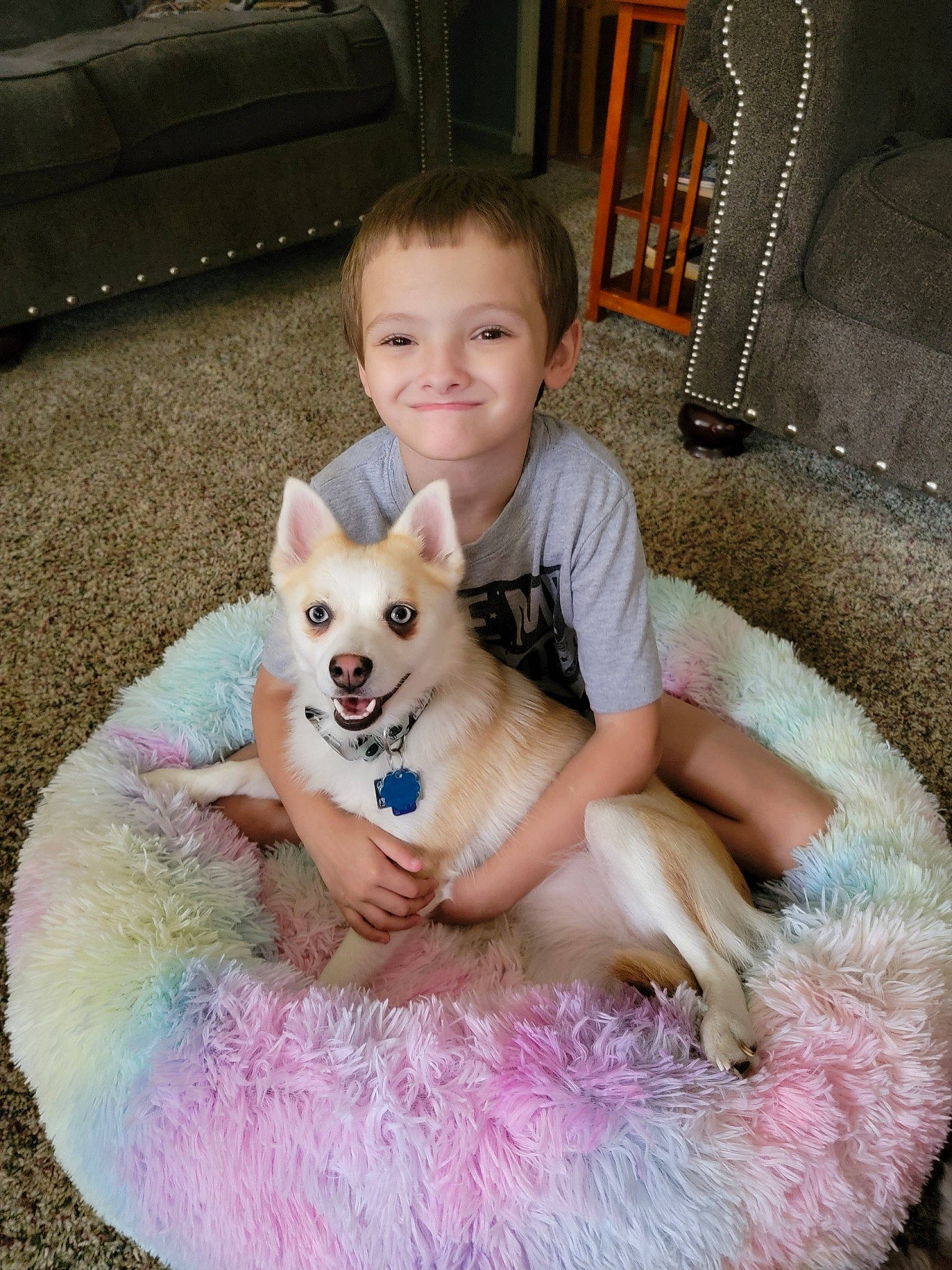Chase joined the competition — help win amazing prizes! ballet_tutu, canidae, carnivore, chair, companion_dog, dog, dog_breed, dog_supply, fawn, flooring, fun, fur, german_spitz, happy, joy, person, pink, smile, spitz, sporting_group