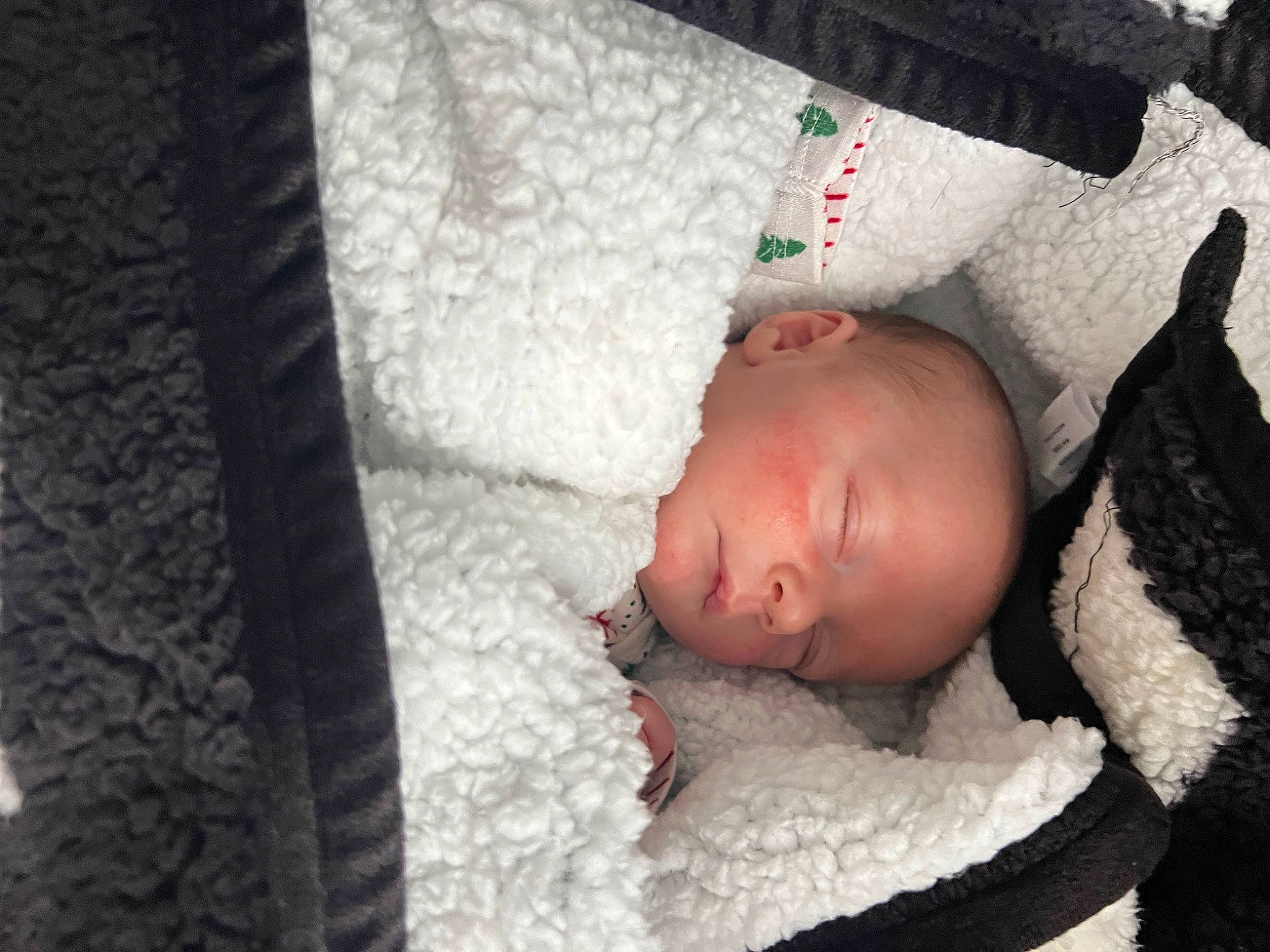 Jasper joined the competition — help win amazing prizes! baby, baby_sleeping, bed, bed_sheet, bedding, bedtime, child, comfort, fur, grey, infant_bed, linens, nap, person, room, skin, sleep, textile, toddler, wood