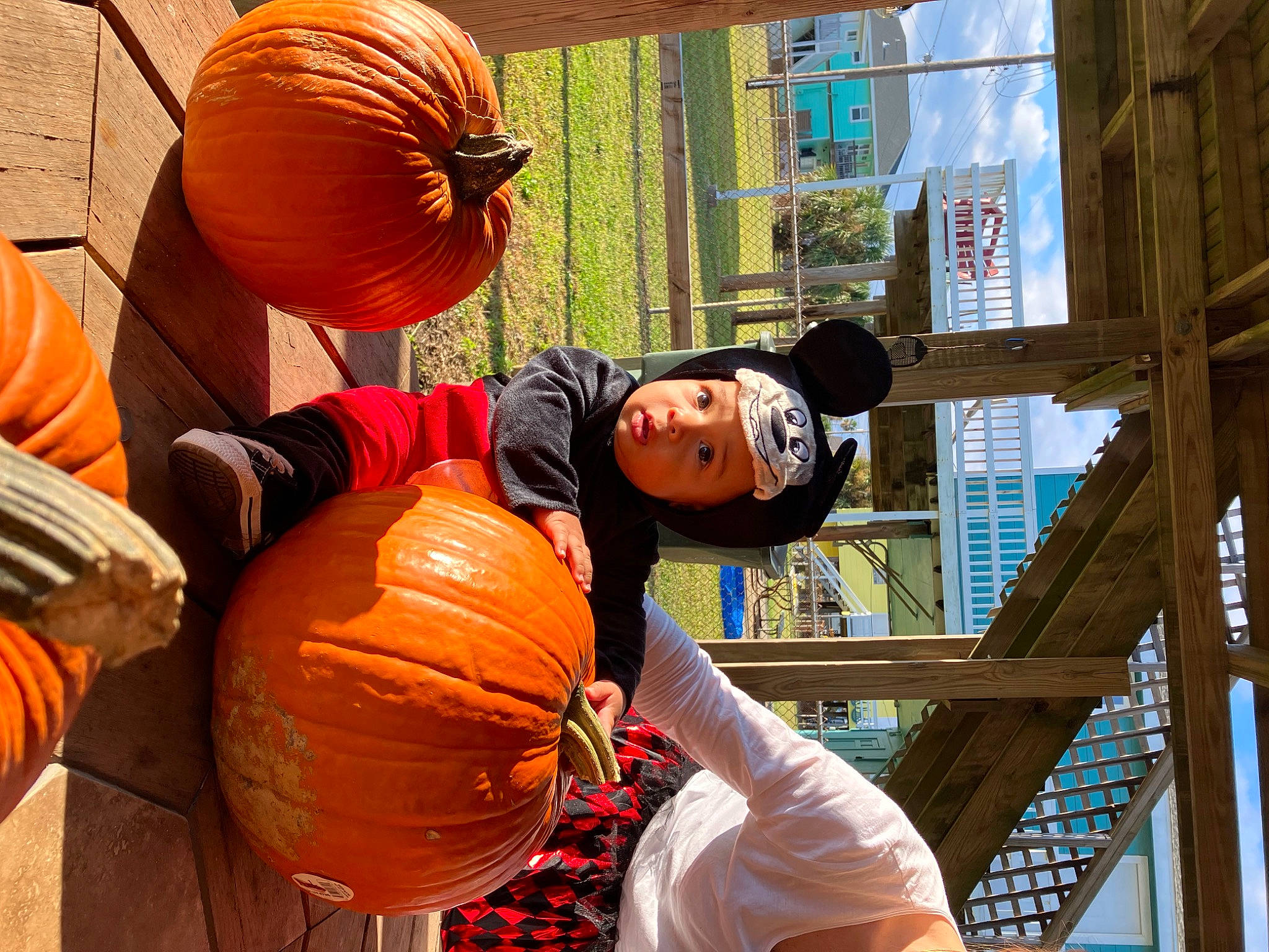 Declan is registered to the contest to win money with this photo: art, calabaza, cucurbita, fun, gourd, hat, headwear, jack_o_lantern, leisure, local_food, natural_foods, orange, person, plant, produce, pumpkin, squash, tradition, vegetable, winter_squash