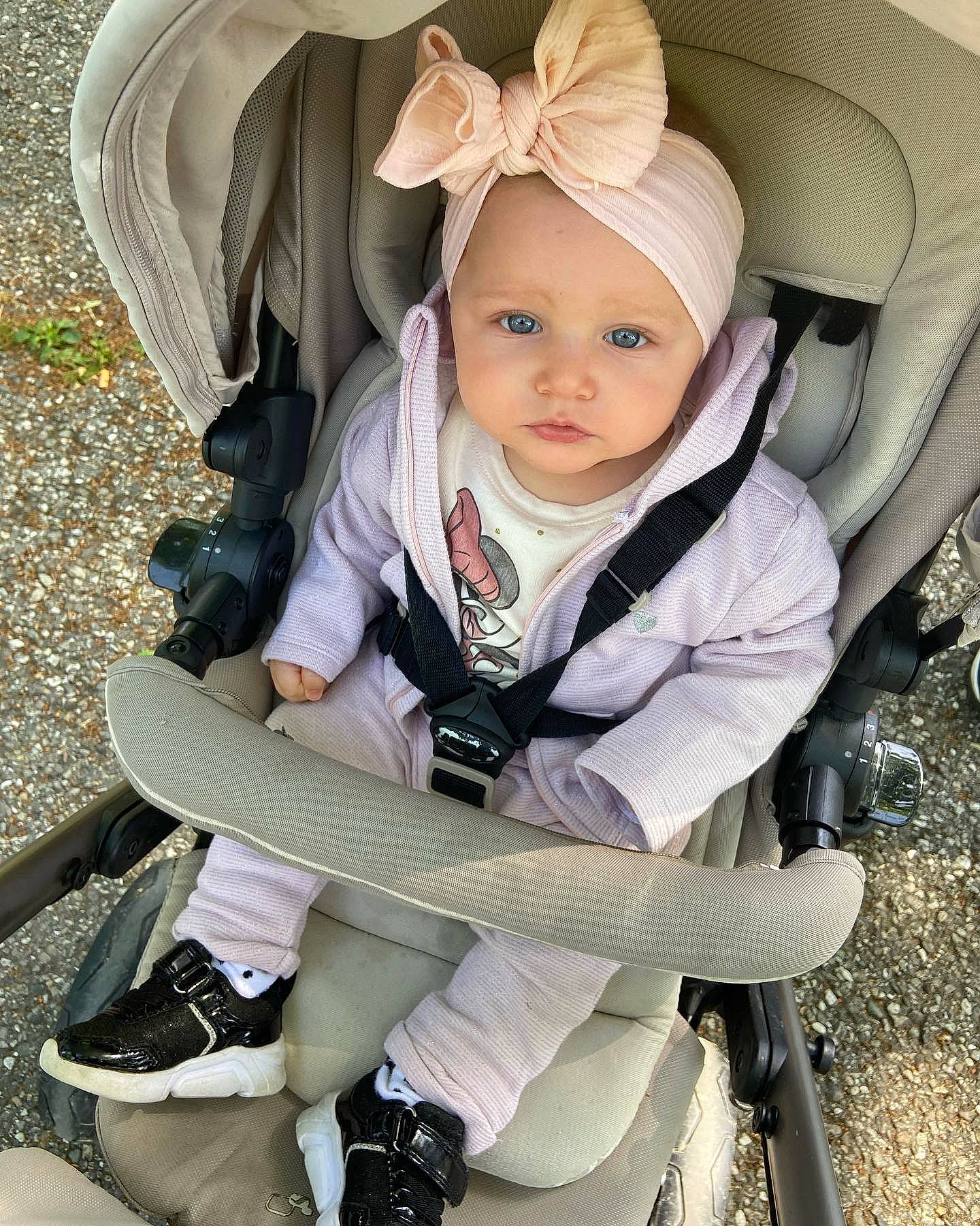 Sofia a rejoint le concours — aidez-le/la à gagner de superbes lots ! auto_part, baby, baby_carriage, baby_products, baby_toddler_clothing, car_seat, child, comfort, fashion_accessory, flash_photography, fun, grass, happy, hat, headwear, person, personal_protective_equipment, portrait_photography, recreation, sitting