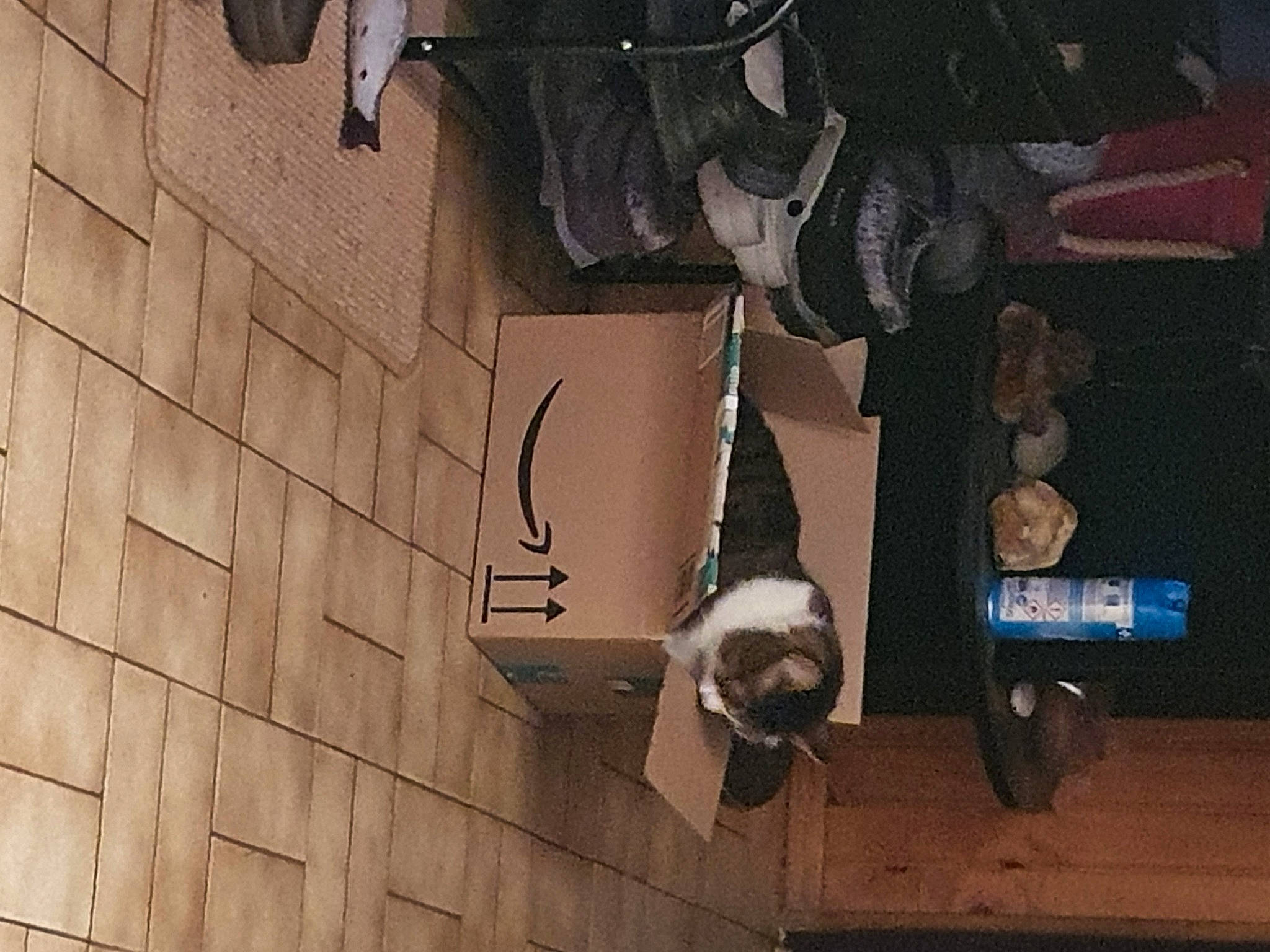 Mia participe au concours pour gagner de l'argent avec cette photo : art, audio_equipment, building, concrete, facade, font, machine, metal, room, sculpture, shadow, statue, visual_arts, wall, wood