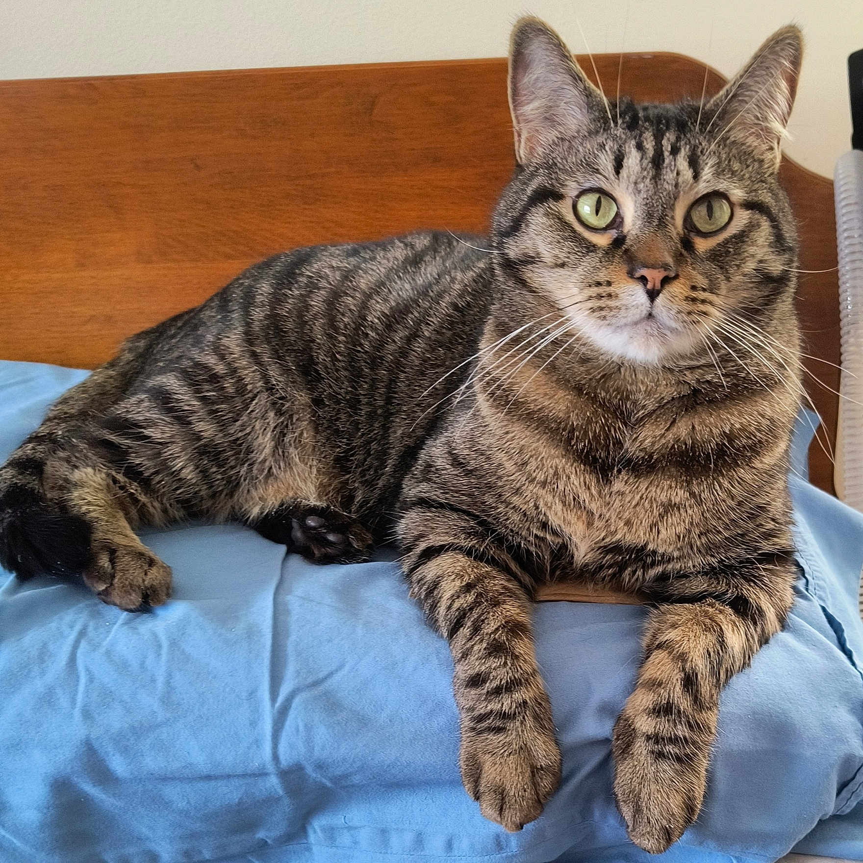 Finn