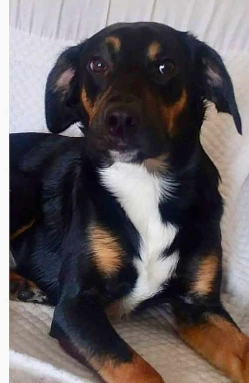 Bubba Walter