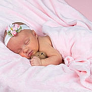 Sophia joined the competition — help win amazing prizes! baby, newborn, sleeping, blanket, pink, headband, flower, teddy_bear, soft, cute, infant, peaceful, portrait, child, rest, adorable, wrapped, cozy, skin, hand