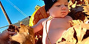Xavier is registered to the contest to win money with this photo: baby, child, hat, pumpkin, leaves, autumn, outdoor, sky, hand, fence, car, sunlight, cute, seasonal, nature, portrait, fall, infant, bare_chest, daytime