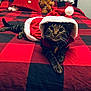 cat, tabby_cat, santa_costume, bed, pillow, plush_toy, red, black, checkered, pet, animal, cozy, indoor, furniture, holiday, christmas, cute, relaxed, domestic, fur