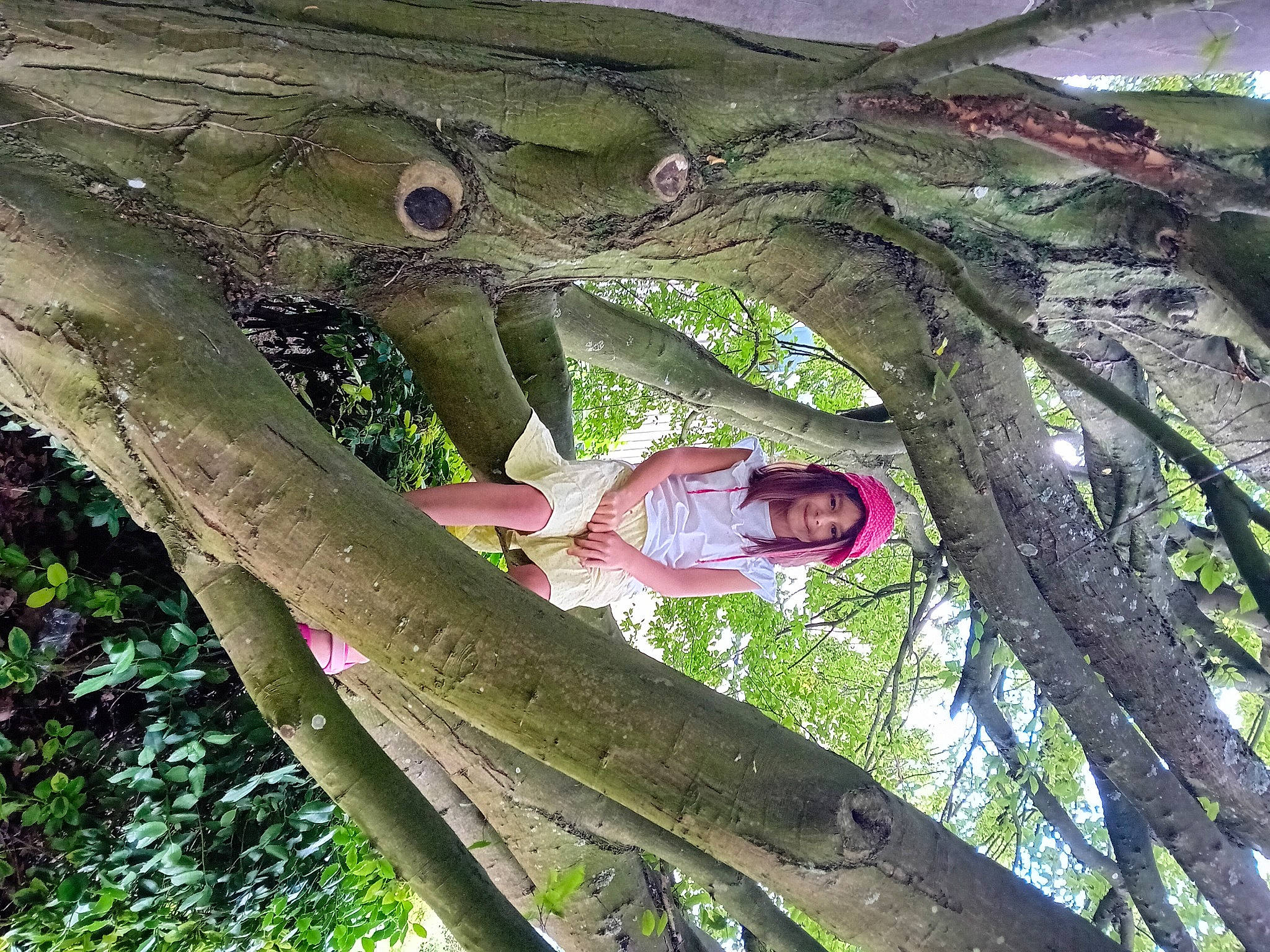 Sakine a rejoint le concours — aidez-le/la à gagner de superbes lots ! botany, branch, eye, forest, grass, headwear, human_body, joy, leaf, natural_environment, organism, people_in_nature, person, plant, plant_stem, terrestrial_plant, tints_and_shades, tree, trunk, twig